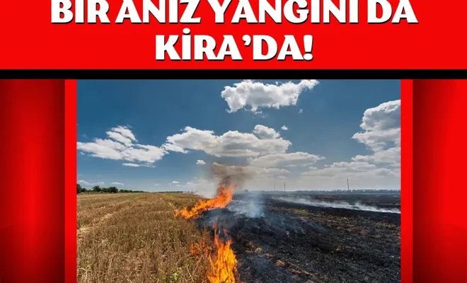 Bir Anız Yangını da Beşiri'de!