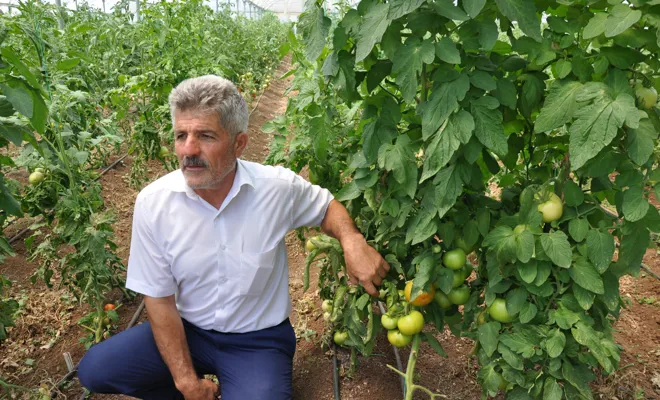 Seracılık Sayesinde Balpınar’a Bereket Geldi