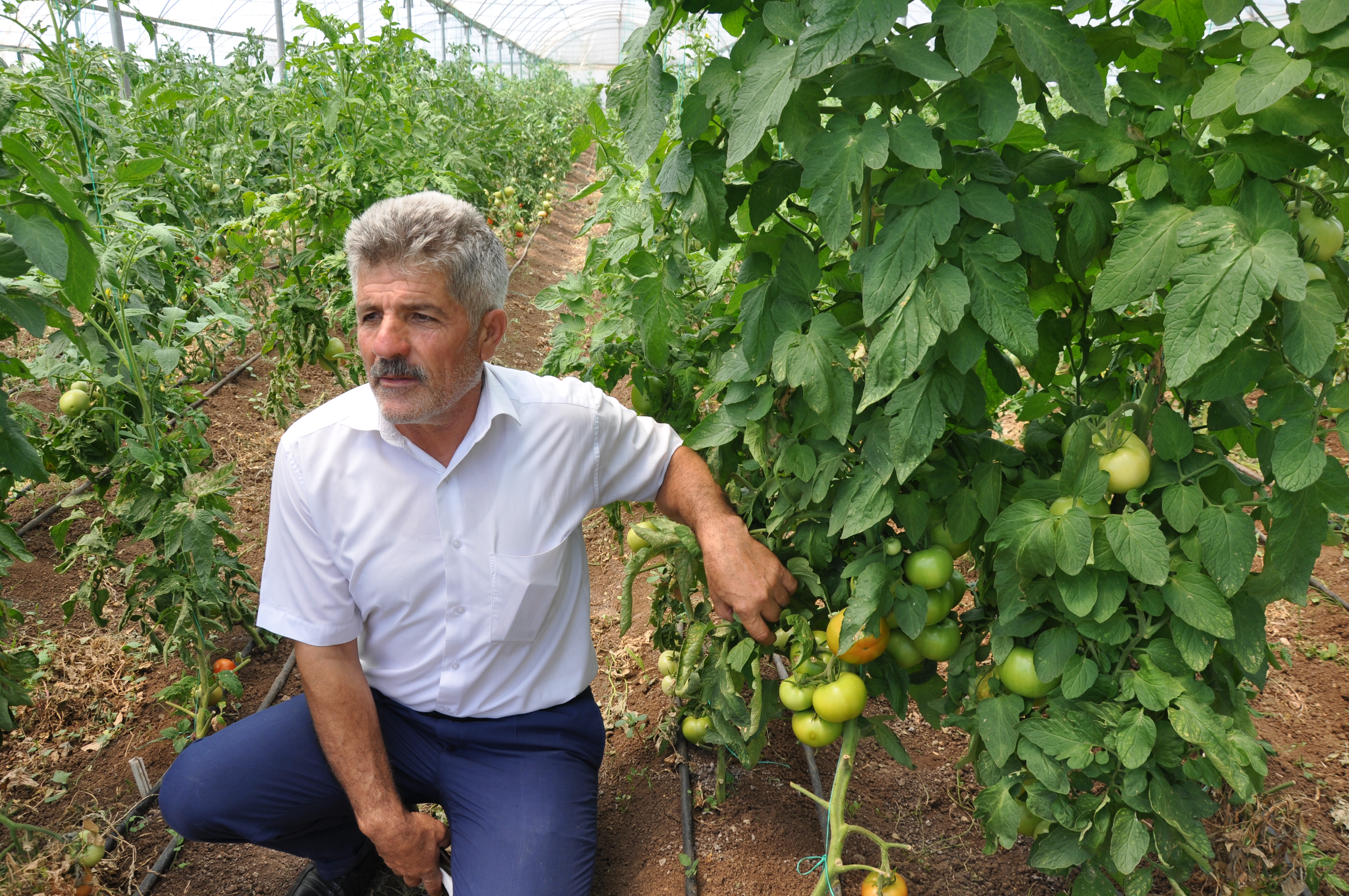 Seracılık Sayesinde Balpınar’a Bereket Geldi