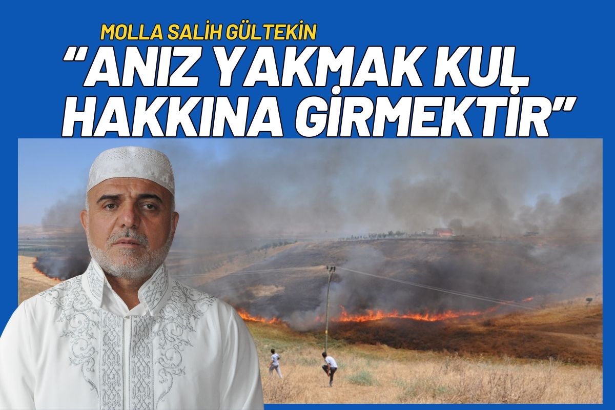 Anız Yakmak Kul Hakkına Girmektir