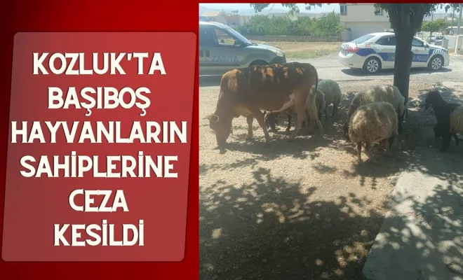 Kozluk'ta Başıboş Hayvanların Sahiplerine Ceza Kesildi