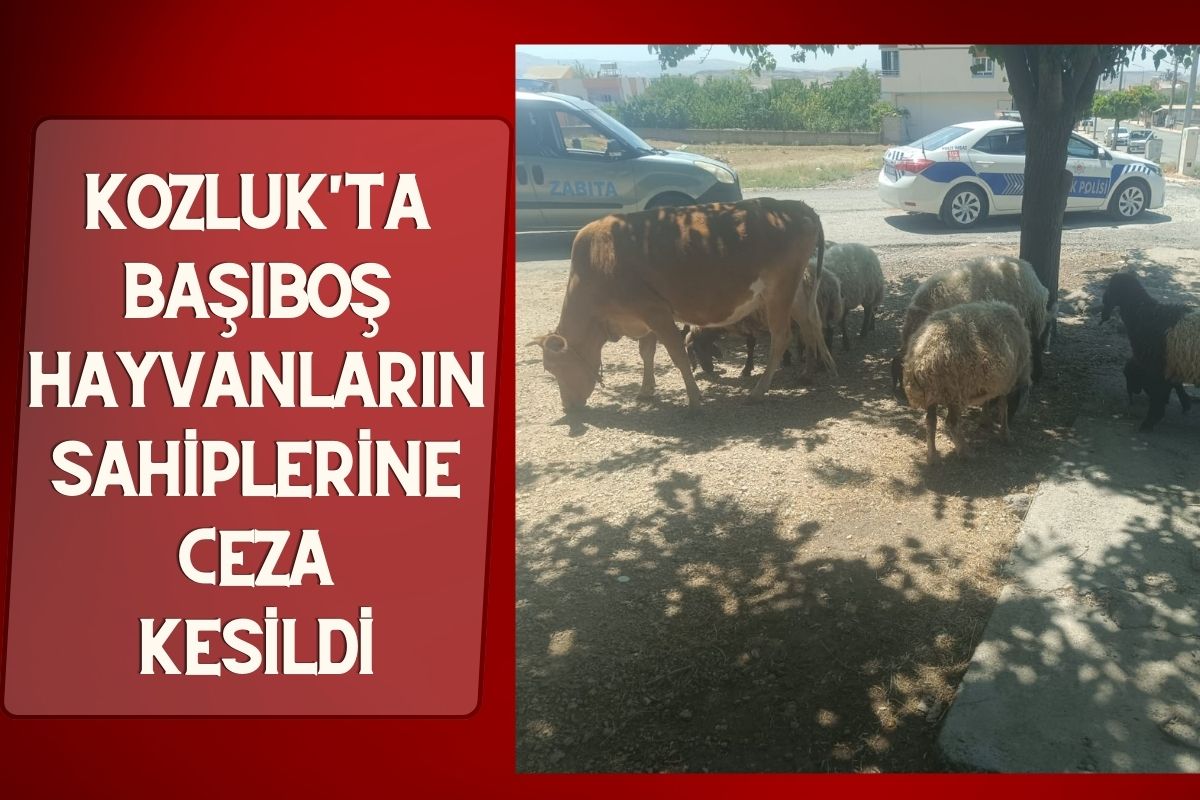 Kozluk'ta Başıboş Hayvanların Sahiplerine Ceza Kesildi