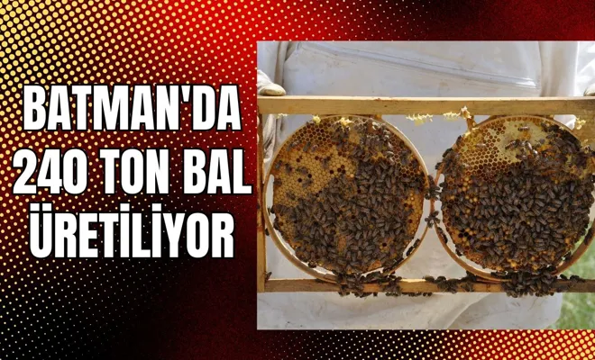 Batman'da 240 Ton Bal Üretiliyor