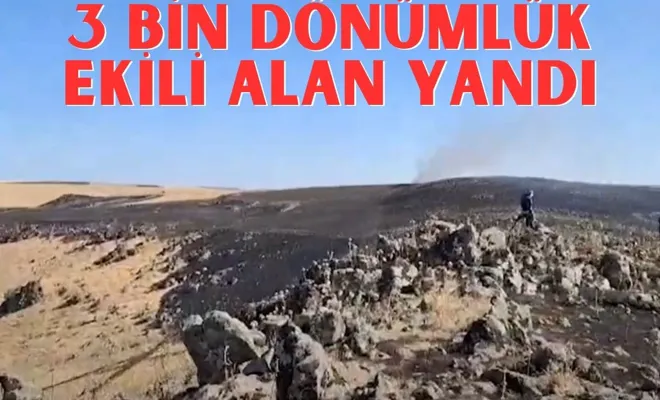 3 Bin Dönümlük Ekili Alan Yandı