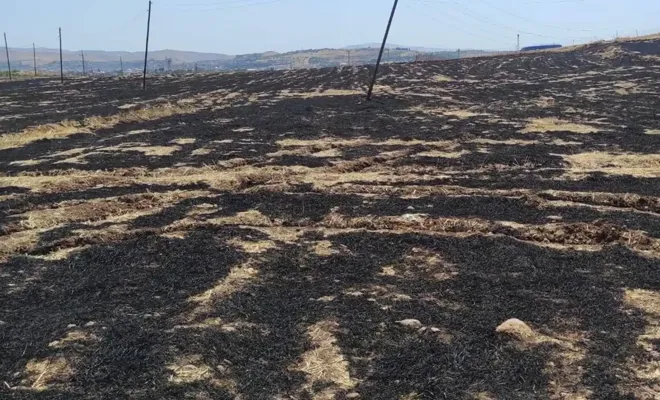 Anız Yakma Yasağını İhlal Eden Şahsa Ağır Ceza