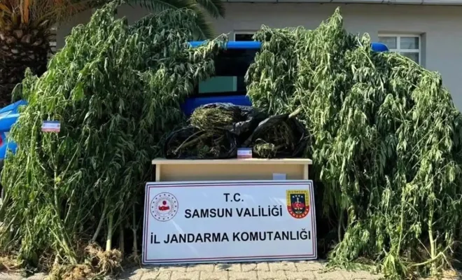 Samsun'da Uyuşturucu Operasyonu