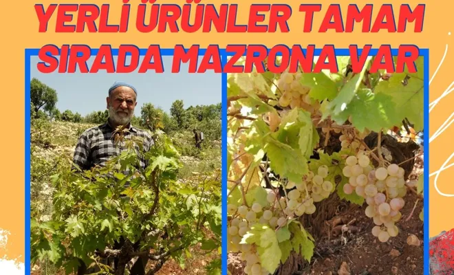 Yerli Ürünler Tamam, Sırada Mazrona Var