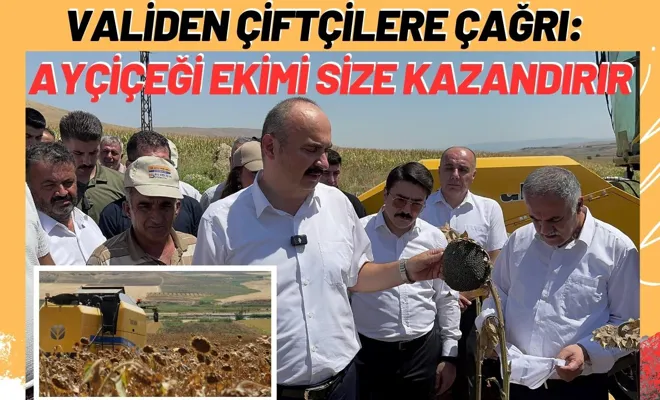 Validen Çiftçilere Çağrı: Ayçiçeği ekimi size kazandırır