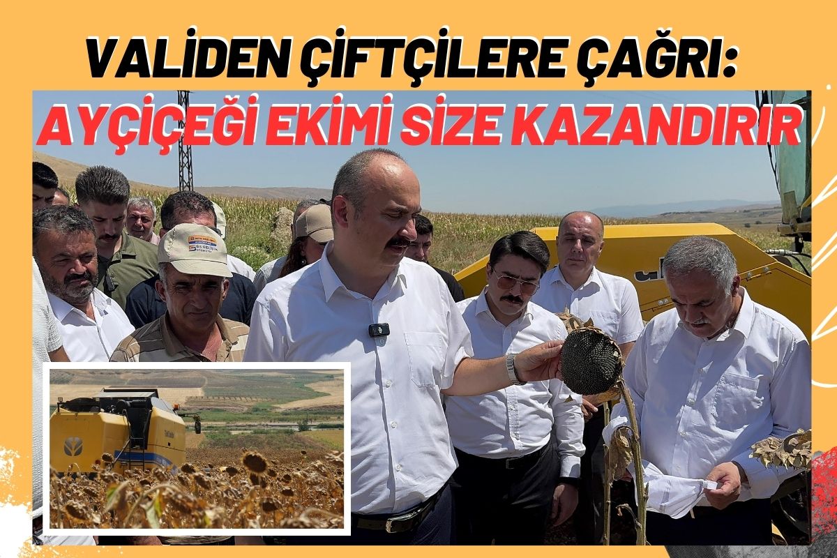 Validen Çiftçilere Çağrı: Ayçiçeği ekimi size kazandırır