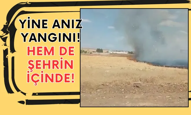 Yine anız yangını! Hem de şehrin içinde!