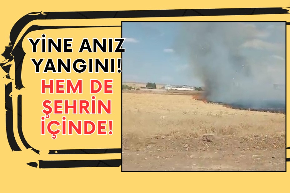 Yine anız yangını! Hem de şehrin içinde!