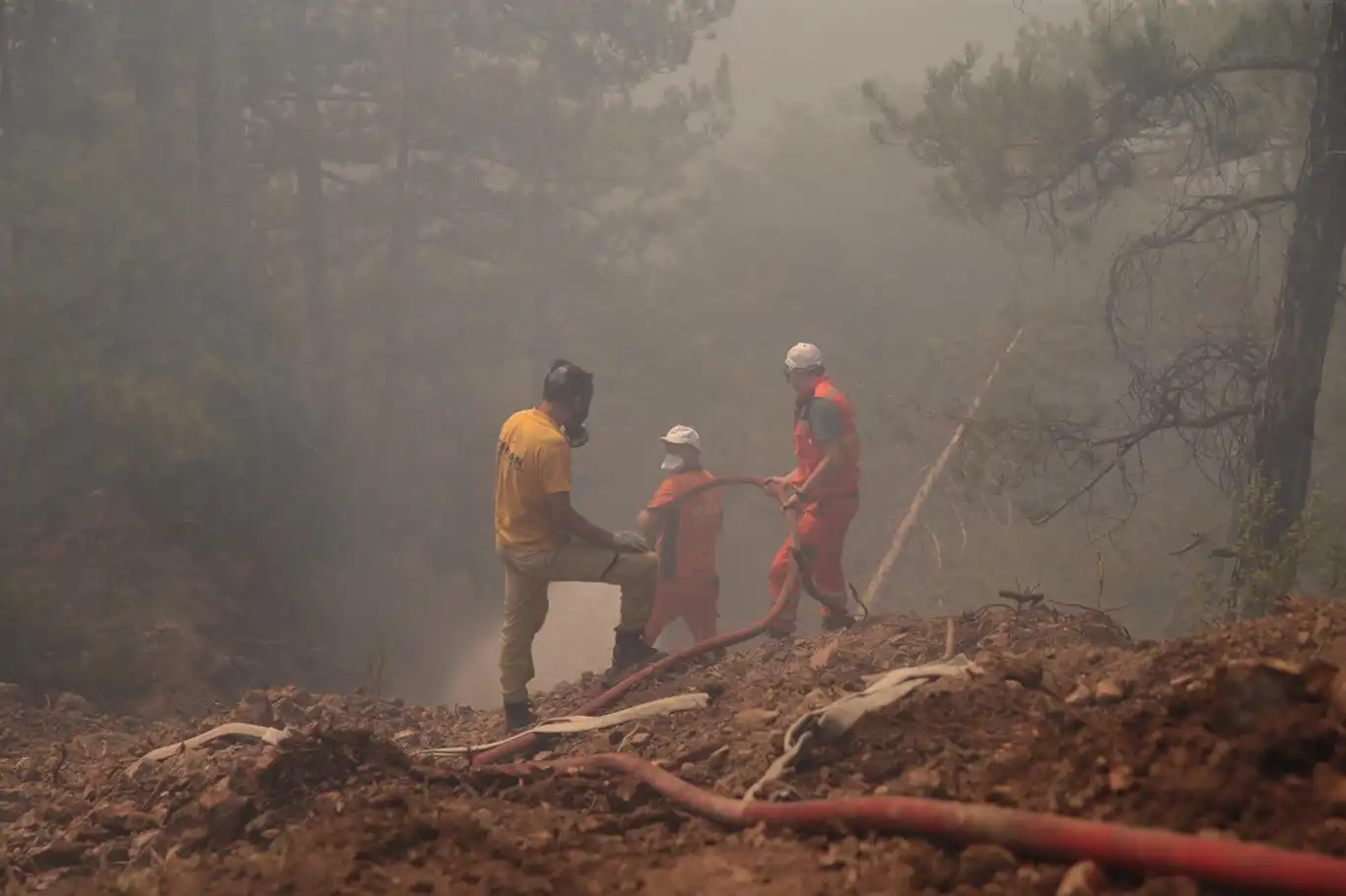 Bolu'daki Orman Yangınıyla İlgili 2 Tutuklama