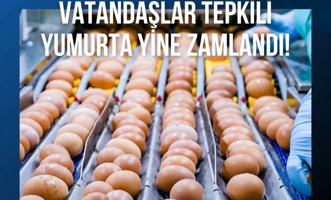 Vatandaşlar tepkili, yumurta yine zamlandı!