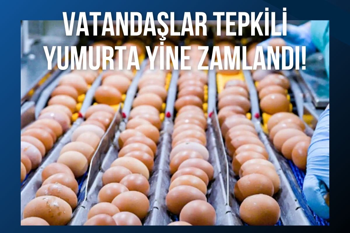 Vatandaşlar tepkili, yumurta yine zamlandı!