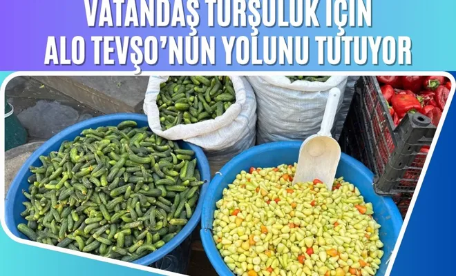 Vatandaş turşuluk için Alo Tevşo’nun yolunu tutuyor