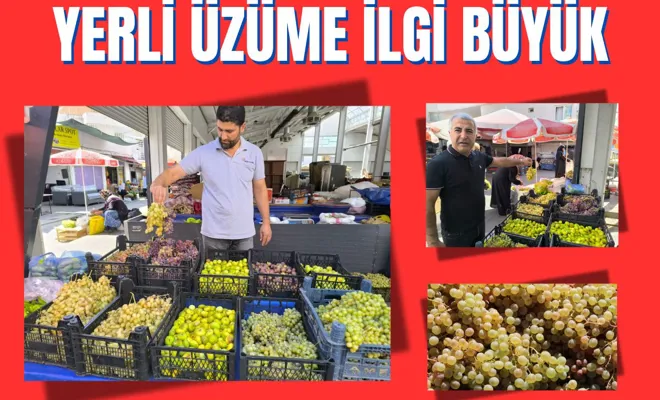 Yerli üzüme ilgi büyük