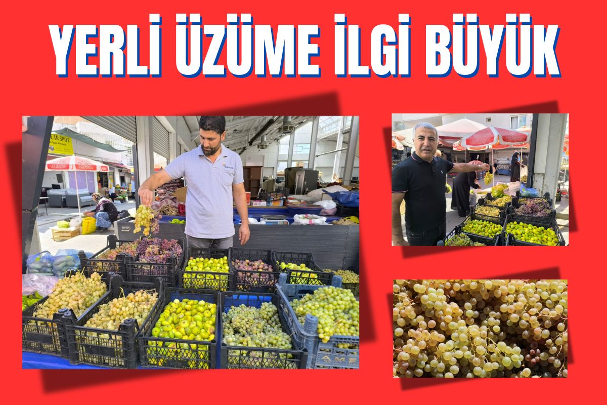 Yerli üzüme ilgi büyük