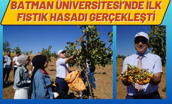 Batman Üniversitesi’nde İlk Fıstık Hasadı Gerçekleşti