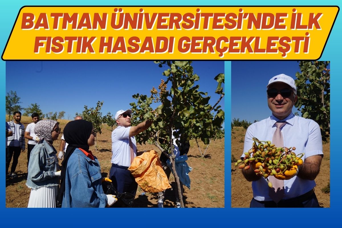 Batman Üniversitesi’nde İlk Fıstık Hasadı Gerçekleşti