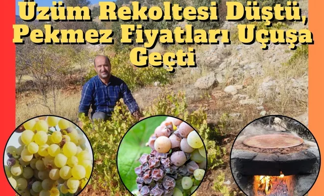 Üzüm Rekoltesi Düştü, Pekmez Fiyatları Uçuşa Geçti