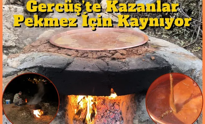 Gercüş’te Kazanlar Pekmez İçin Kaynıyor