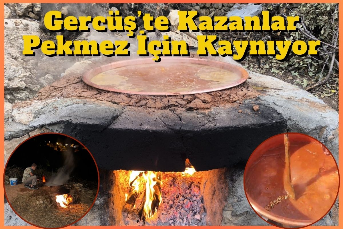 Gercüş’te Kazanlar Pekmez İçin Kaynıyor