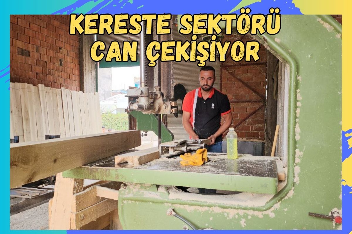 Kereste Sektörü Can Çekişiyor