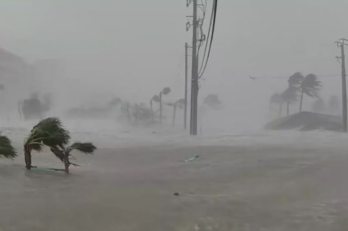 Florida'yı Milton Kasırgası vurdu: 4 ölü 