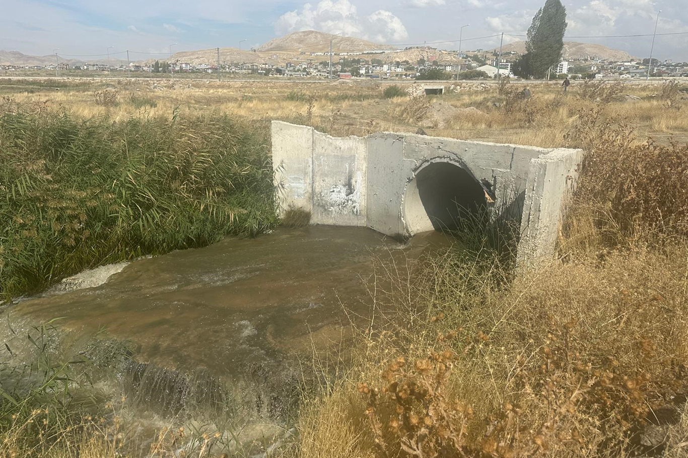 Van Gölü’ne  deşarj cezayı da beraberinde getirdi