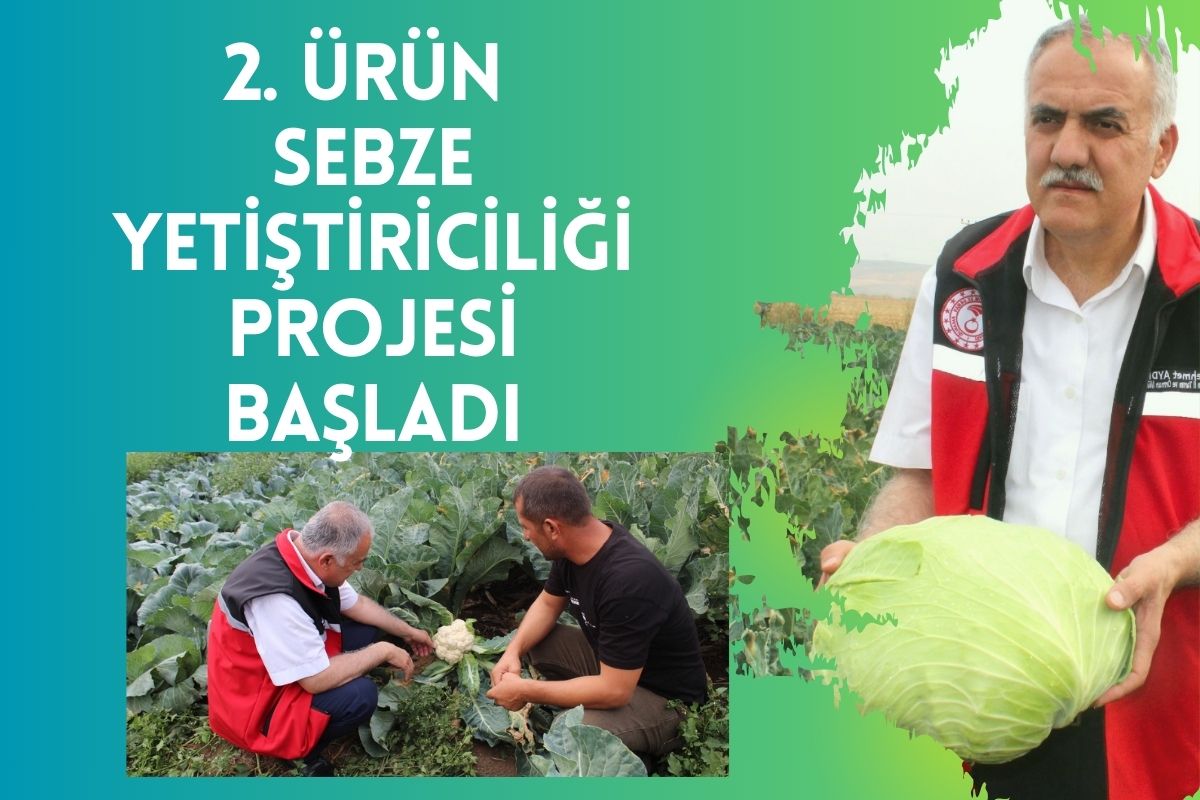 2. Ürün Sebze Yetiştiriciliği Projesi Başladı