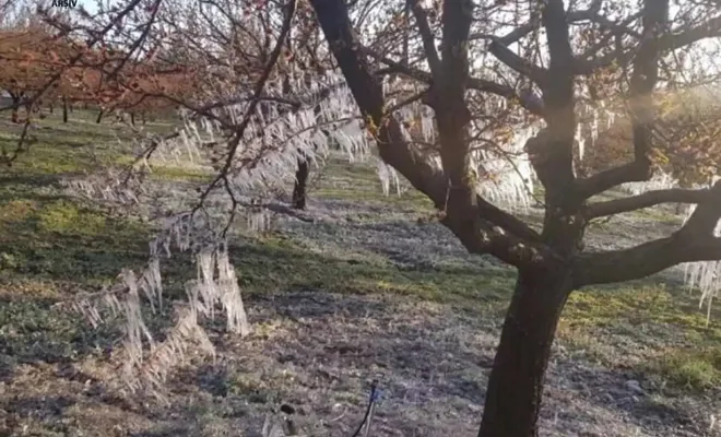 İç ve doğu kesimlerde zirai don tehlikesi sürüyor