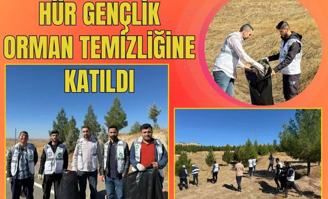 Hür Gençlik Orman Temizliğine Katıldı