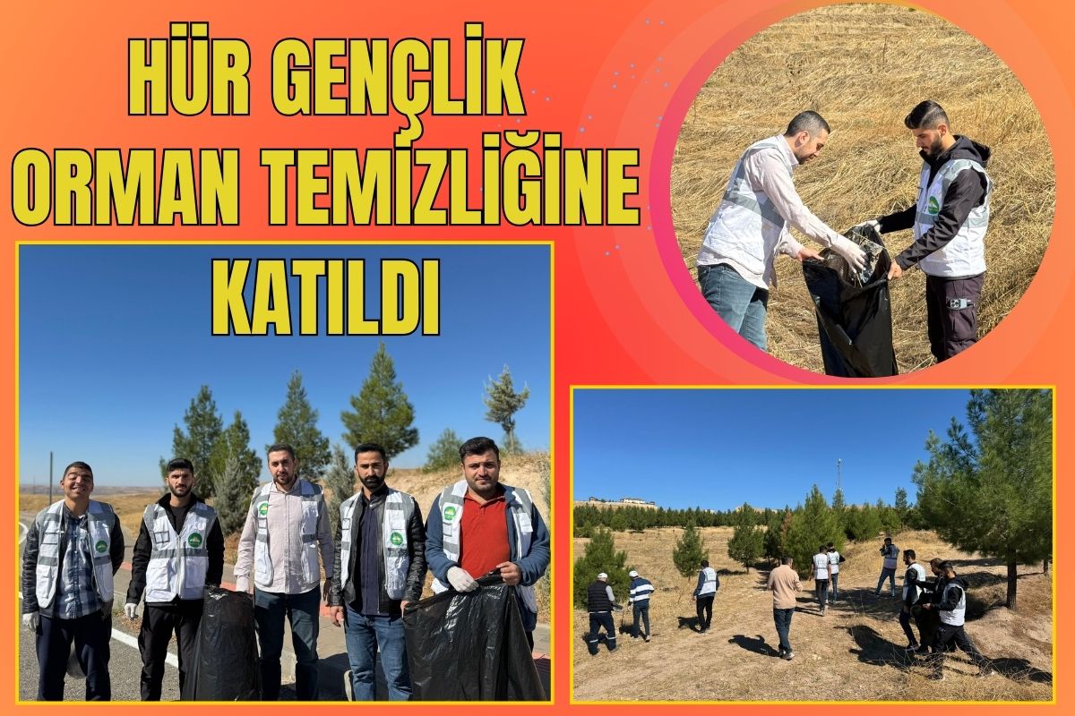 Hür Gençlik Orman Temizliğine Katıldı