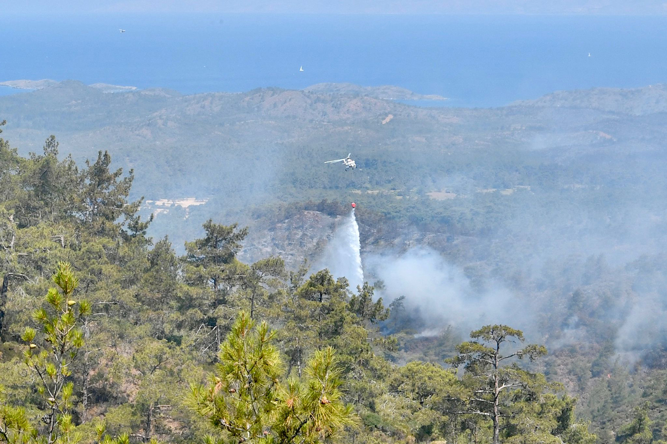 Hatay'da orman yangın