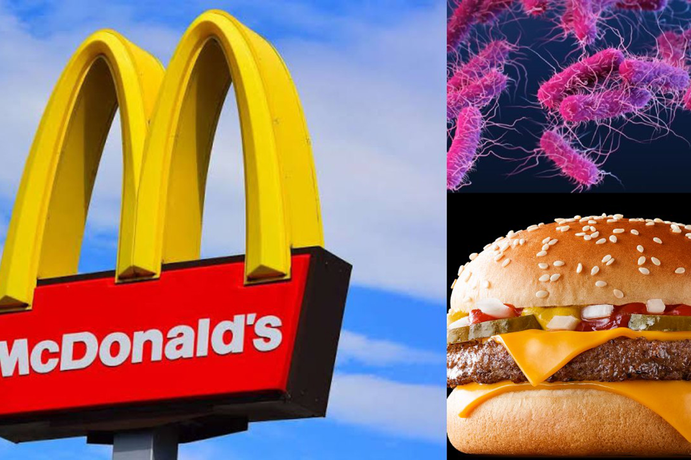 McDonald's hamburgerlerinde koli basili alarmı