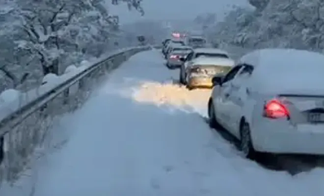 Artvin'de yoğun kar yağışı etkili oluyor 