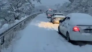 Artvin'de yoğun kar yağışı etkili oluyor 