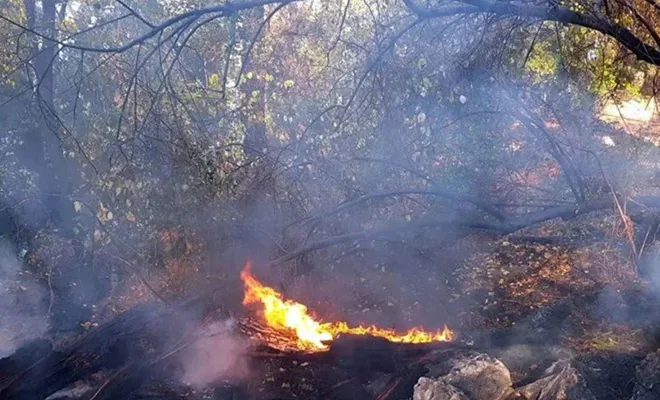 Kahramanmaraş'taki orman yangını kontrol altında