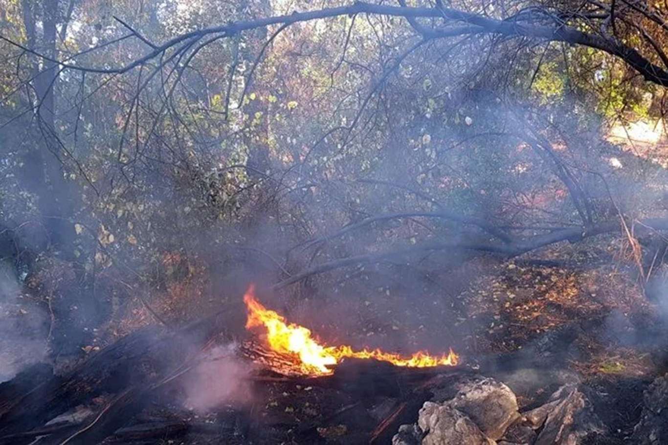 Kahramanmaraş'taki orman yangını kontrol altında