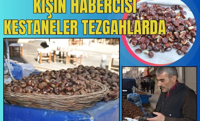 Kışın Habercisi Kestaneler Tezgahlarda