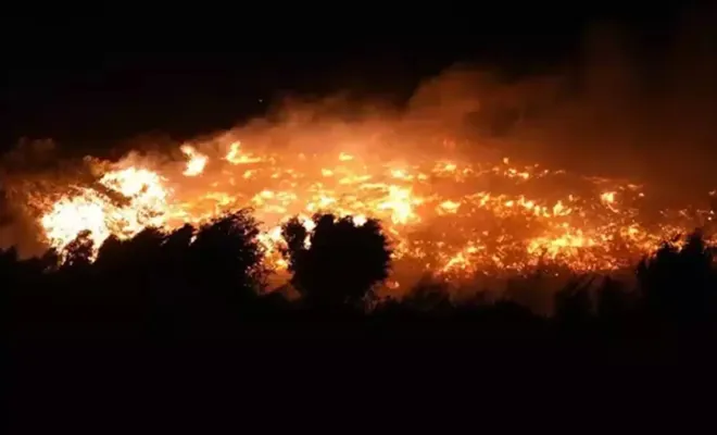 Adana'da orman yangını