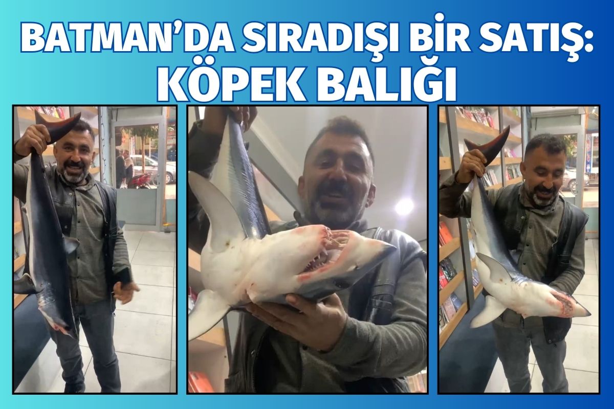 Batman’da Sıradışı Bir Satış: Köpek Balığı