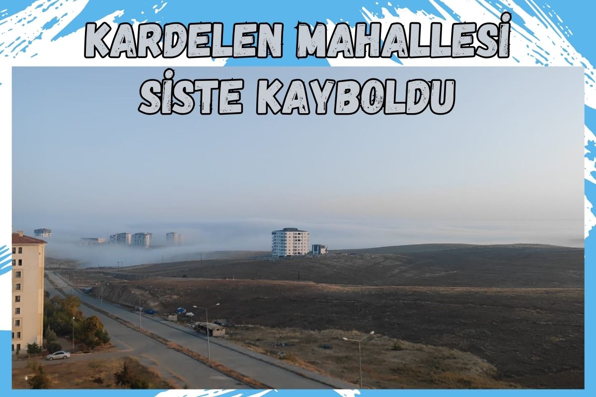 Kardelen Mahallesi Siste Kayboldu