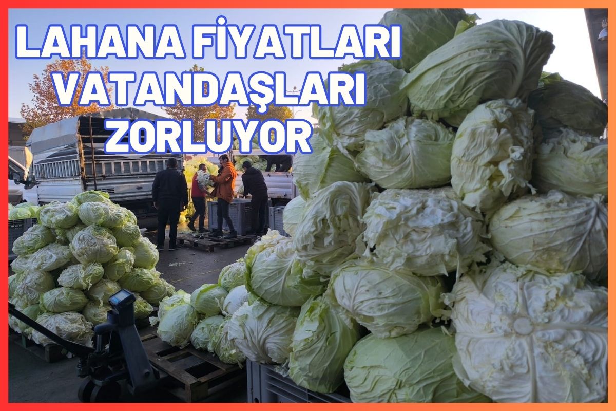 Lahana Fiyatları Vatandaşları Zorluyor