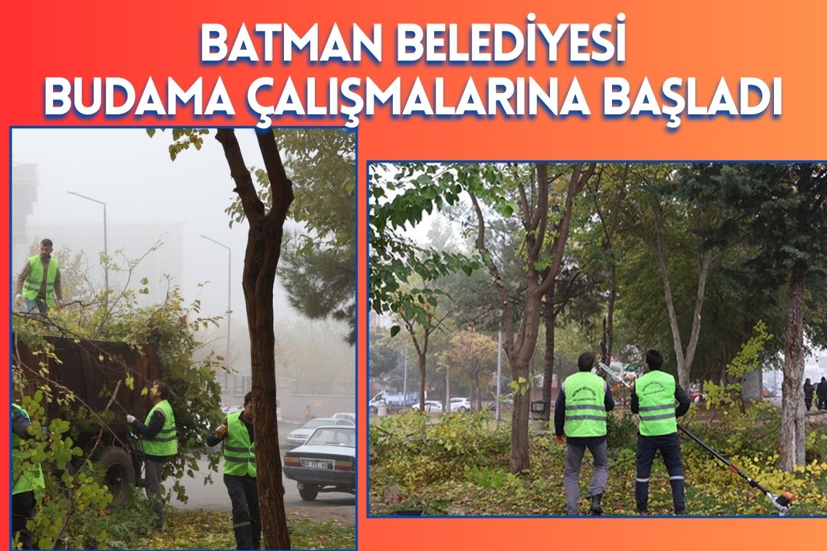 Batman Belediyesi Budama Çalışmalarına Başladı