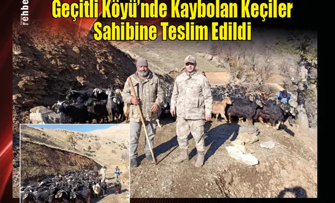 Geçitli Köyü'nde Kaybolan Keçiler Sahibine Teslim Edildi