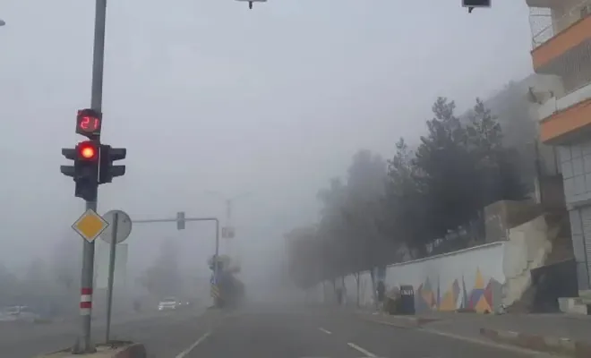 Siirt'te yoğun sis hayatı olumsuz etkiledi