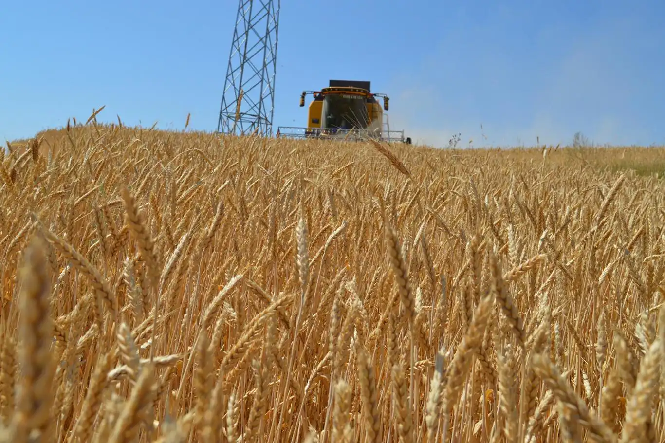 Çiftçiler dikkat: tarımsal destekleme ödemeleri bugün hesaplara yatıyor
