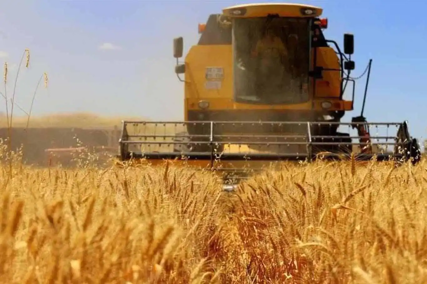 Ukrayna: Tahıl Koridoru Anlaşması süresiz olsun